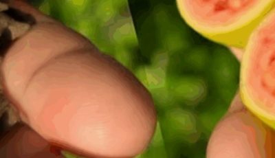 Hospitals Left Empty: This Natural Drink Cures Poor Circulation, Diabetes, and High Blood Pressure Without Pills