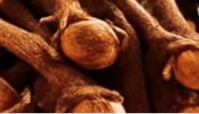 18 Powerful Ways to Use Clove Tea: Your Warm Ally for Natural Wellness Boosts?