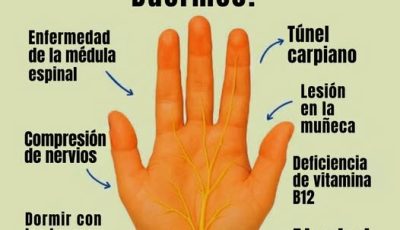 🧠💤 ¿Por qué se te duermen las manos mientras duermes? Descubre la verdad detrás de este fenómeno nocturno 🙌🌙