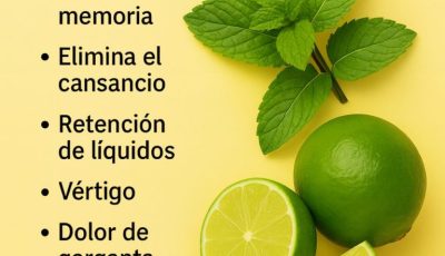 ¡JUGO DE HIERBABUENA CON LIMÓN: EL ELIXIR REFRESCANTE