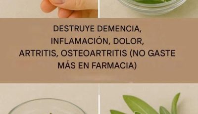 Un milagro natural para la salud cerebral, la inflamación y el dolor articular