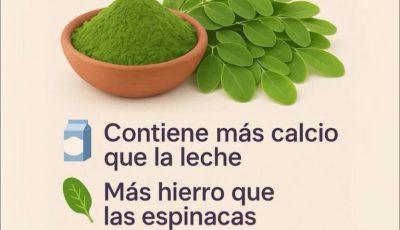BENEFICIOS DE LA MORINGA