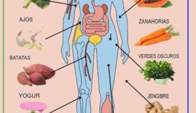 15 alimentos que fortalecen tu sistema inmunológico