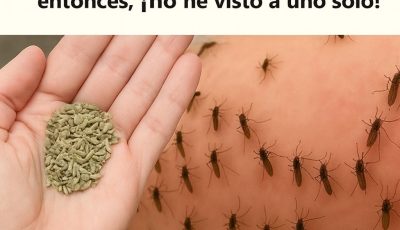 Los mosquitos solían devorarme vivo hasta que probé esto