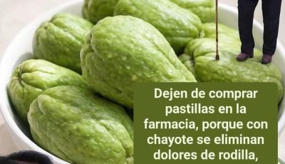 ¿CUÁL ES EL NOMBRE DE ESTE VEGETAL EN TU PAÍS? COME POR UN MES Y VERÁS LOS RESULTADOS: BENEFICIOS DE LA CHAYOTA PARA LA SALUD