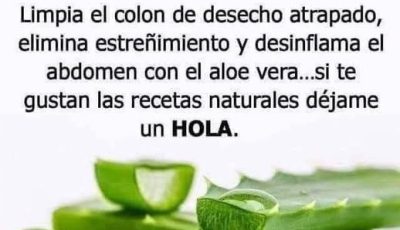 El aloe vera es una planta con muchísimas propiedades beneficiosas tanto para la salud como para la belleza. Aquí tienes un resumen de sus principales beneficios: