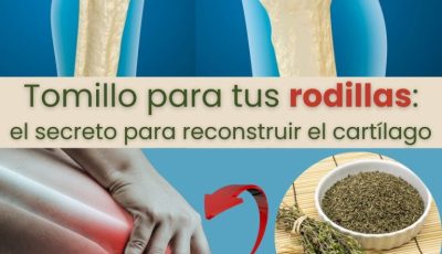 Tomillo: El Remedio Natural para la Regeneración del Cartílago en las rodillas