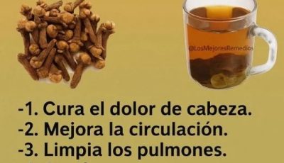 El té de clavo de olor: beneficios, preparación y precauciones