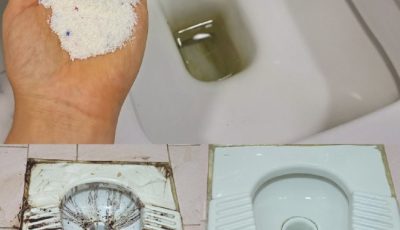 Limpia tu inodoro de forma natural: ¡consigue inodoros blancos relucientes sin químicos!