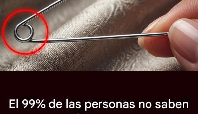 La verdadera utilidad del pequeño trou sur l’épingle