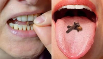 Masticar clavo: un delicioso remedio para el bienestar