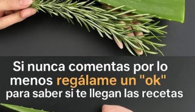 Mezcla de Romero y Aloe: ¡Te Sorprenderás con Sus Beneficios!