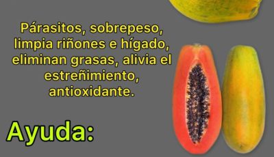 Semilla de papaya