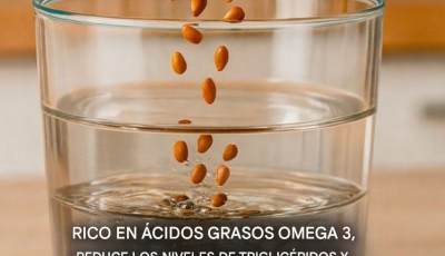 Ácidos grasos omega 3: ¿para qué sirven y dónde encontrarlos?