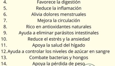 Té de Orégano: Preparación y Beneficios