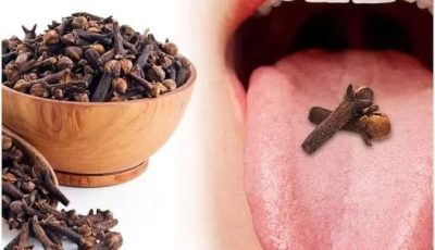 Basta con una cucharadita y la orquídea seca llenará la maceta con nuevas raíces verdes: