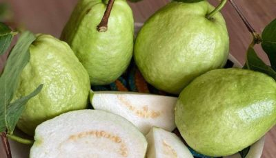 Médicos revelan que comer guayaba causa… (7 efectos con respaldo científico que debes conocer)
