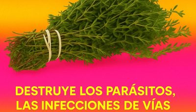 Orégano: La Planta Medicinal Que Todos Deberían Tener en Casa