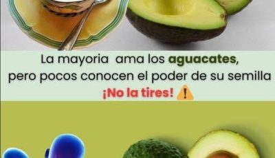Receta: Té de hojas de aguacate