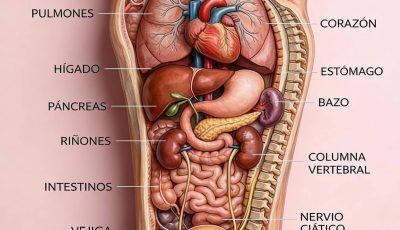 “PON ACEITE EN LAS PLANTAS DE LOS PIES” antes de dormir: Un ritual ancestral que miles usan para relajarse y descansar mejor