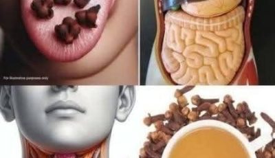 BENEFICIOS DE MASTICAR CLAVOS DE OLOR