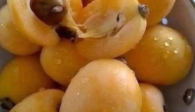 He pasado toda mi vida intentando recordar el nombre de esa fruta…