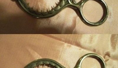 Como usar este utensílio estranho na cozinha