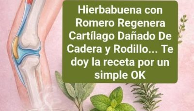 Hierbabuena con romero 🌿✨ ¿Ayuda a las articulaciones? Descubre la verdad