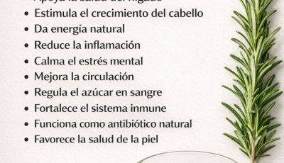 Beneficios del Romero para tu Salud.