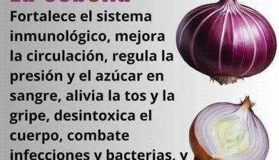 BENEFICIOS DE LA CEBOLLAS