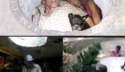 Últimas noticias: Familia encontrada en un… Ver más