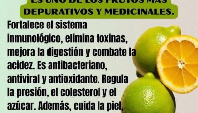Beneficios del Limón: El Poder Natural para Depurar y Sanar el Cuerpo
