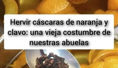 Hervir cáscaras de naranja y clavo: una vieja costumbre de nuestras abuelas Por favor, necesitamos tu ayuda para permanecer en esta red social. di algo a nuestros mensajes (sí, los emoticonos lindos o sonrientes están bien) o desapareceremos por completo❤️