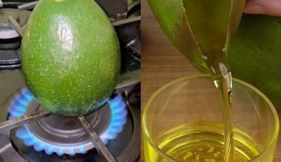 ¡Aquí está el secreto de por qué todo el mundo quema aguacates!