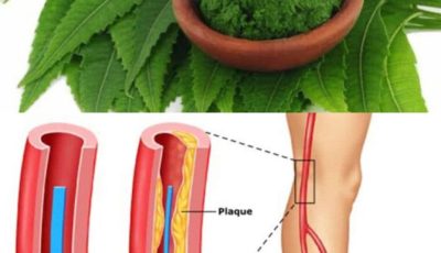 Discover the Leaf That Can Transform Your Health Naturally