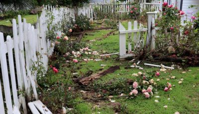 jardín para su boda – mi regalo de bodas la dejó sin palabras.