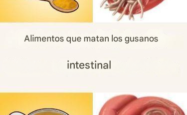 7 alimentos que matan las lombrices intestinales