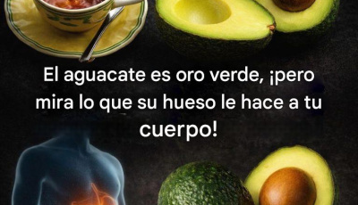 Científicos descubren las propiedades antiinflamatorias de las semillas de aguacate