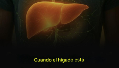 Cuando el hígado está enfermo, estas partes comienzan a doler.