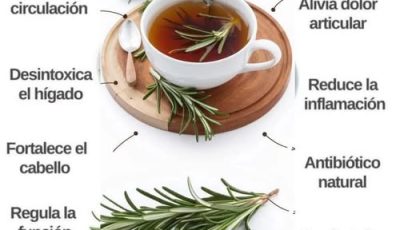Té de romero en ayunas: un hábito natural para revitalizar cuerpo y mente