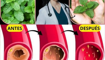El secreto que pocos conocen. Desbloquea tus arterias sin fármacos. ¡Y fortalece tu corazón! Para seguir recibiendo mis recetas, solo debes decir algo… ¡Gracias!