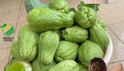 🌿 Descubre el Chayote: La Humilde Calabaza que Transforma tu Salud de Forma Natural