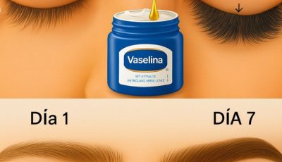 Cómo potenciar el aspecto natural de tus cejas y pestañas con ingredientes caseros.