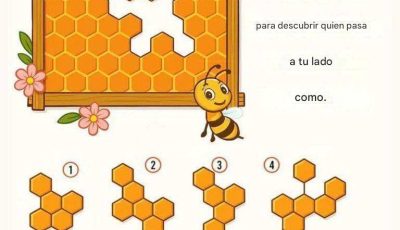 Encuentra la parte que falta de la abeja para descubrir quién camina a tu lado.