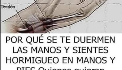 Si se te DUERMEN LAS MANOS es una clara señal que tie…Ver más