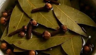 Té de hierbas de laurel y clavo