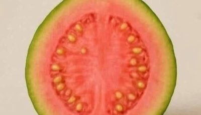 Usa la Guayaba y sus hojas para combatir la diabetes, sanar la colitis, el asma, la gota, el catarro y mucho más