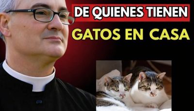 El padre Fortea reveló: El destino de quienes tienen gatos en casa. 🤔😱… Ver más