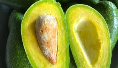 ¿Comer aguacate realmente causa problemas de salud? Los médicos opinan