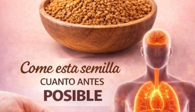 3 semillas